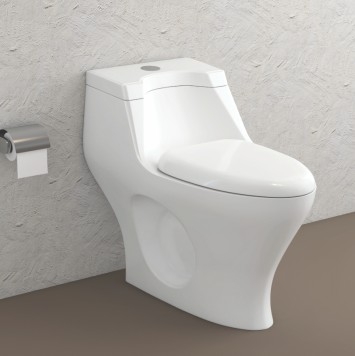 One Piece Floor Mount Toilet