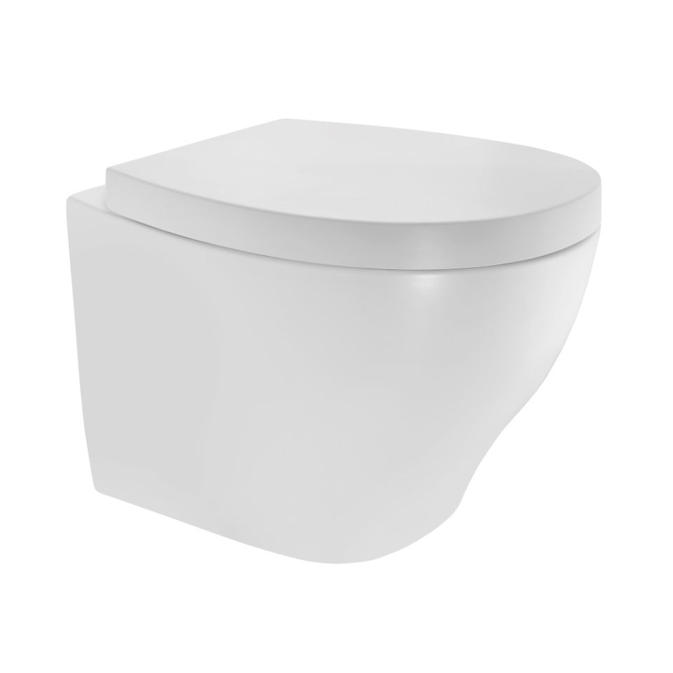 Rimless, Blind Installation Wall Hung WC - White Matt