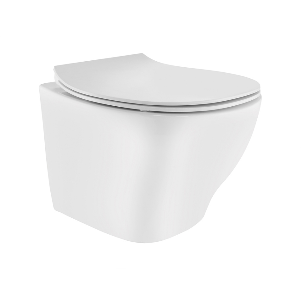 Rimless, Blind Installation Wall Hung WC