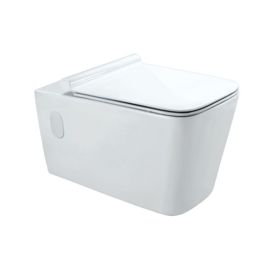 Wall Hung WC