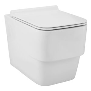 Rimless Blind Installation Wall Hung WC