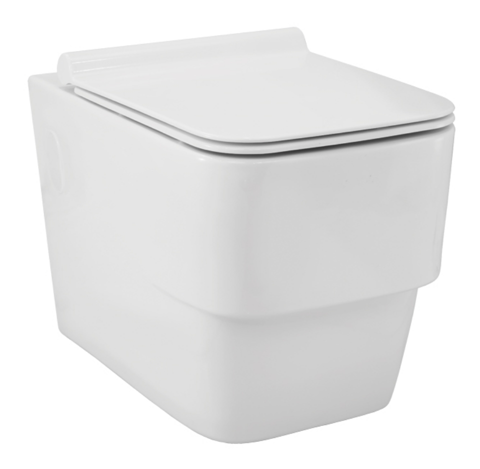 Rimless Blind Installation Wall Hung WC