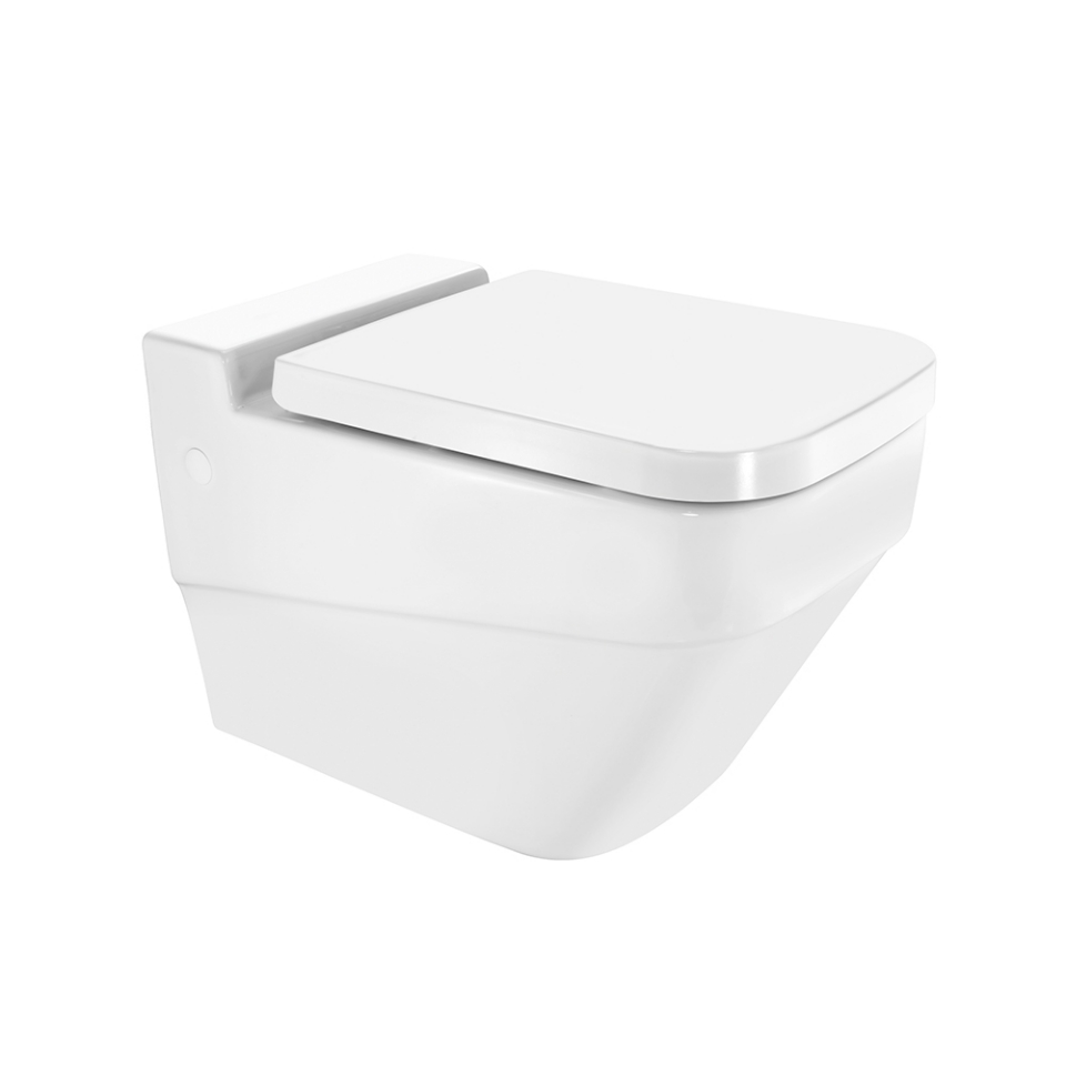 Rimless Wall Hung WC
