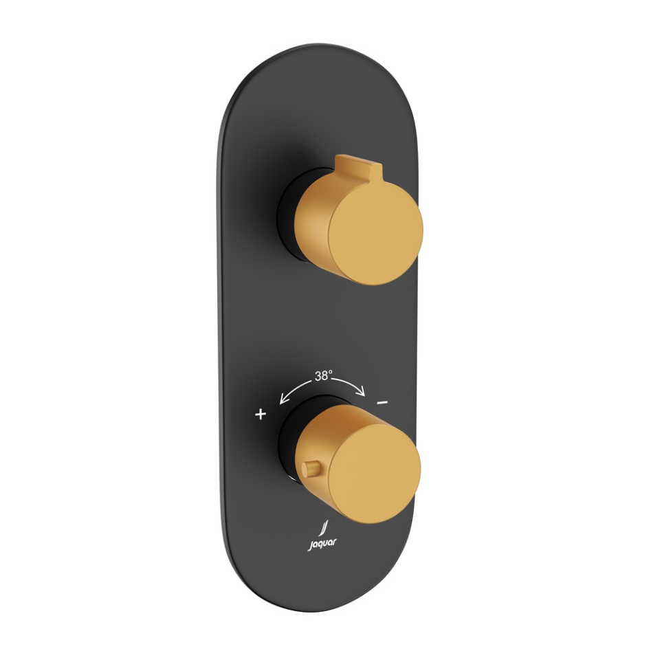 Aquamax Exposed Part Kit of Thermostatic Shower Mixer - Lever: Gold Matt PVD | Body: Black Matt