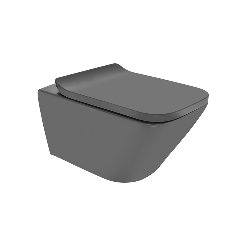 Rimless Blind Installation Wall Hung WC - Grey Matt