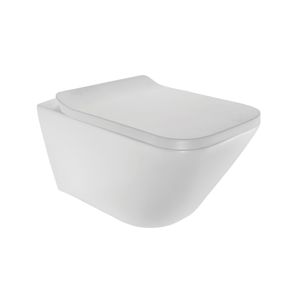 Rimless Blind Installation Wall Hung WC - White Matt