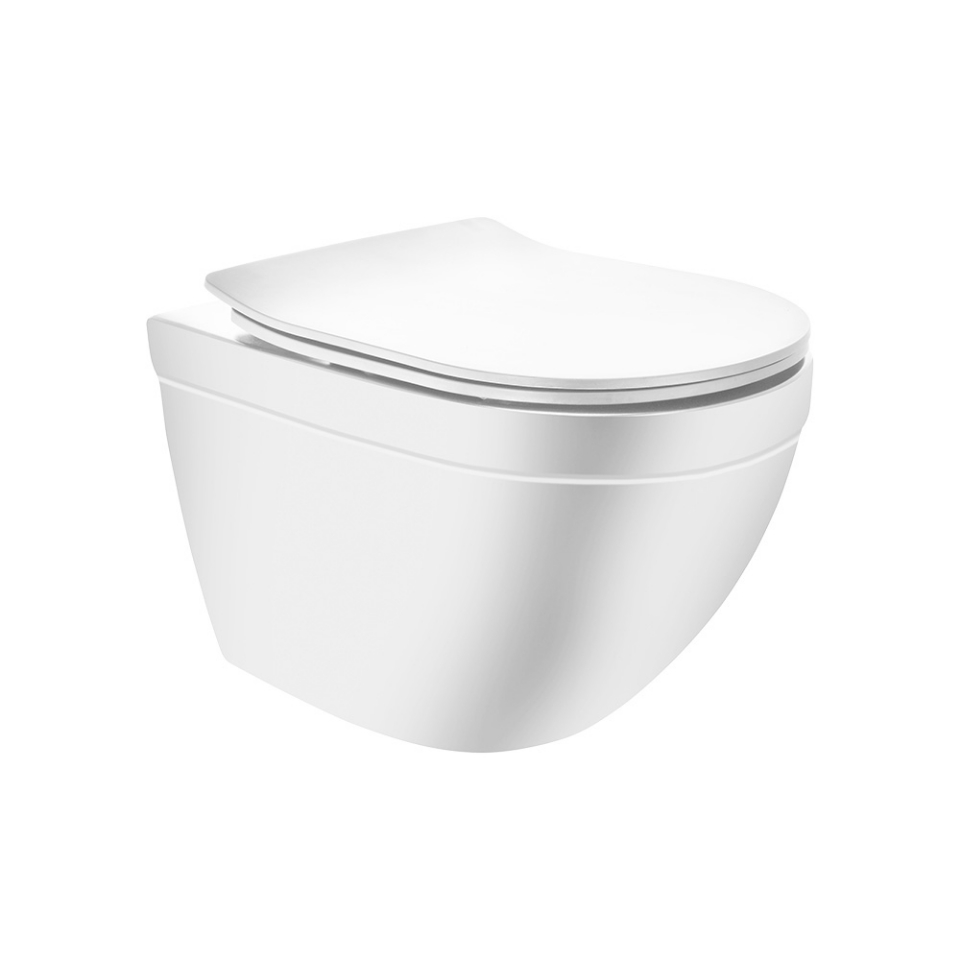 Rimless, Blind Installation Wall Hung WC - Beige Matt