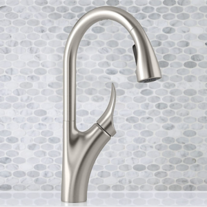 Emile Pull-down kitchen sink faucet with two-function sprayhead