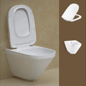 ModernLife wall hung toilet bundle in White