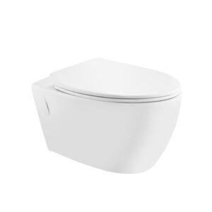 Rimless Wall Hung WC