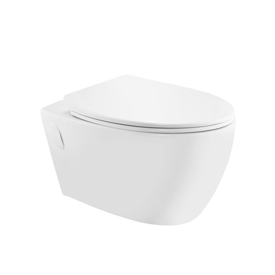 Rimless Wall Hung WC